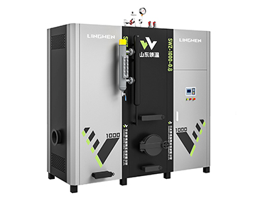 1000KG生物質蒸汽發生器單體